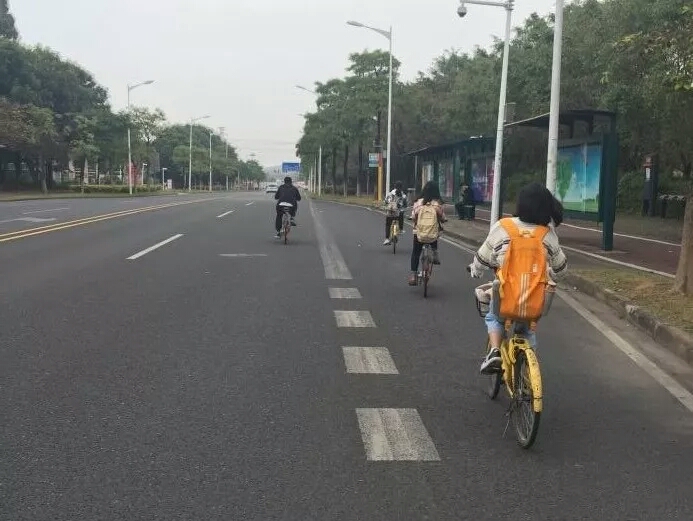 （图片逃跑了~）