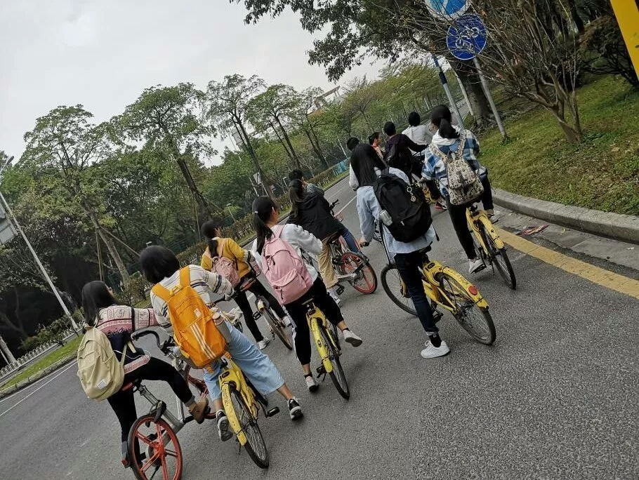 （图片逃跑了~）