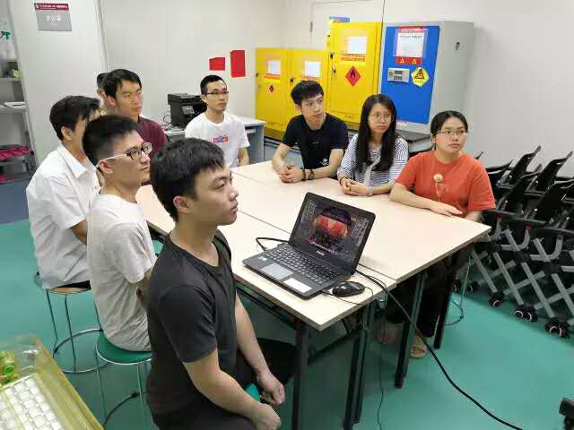 （图片逃跑了~）