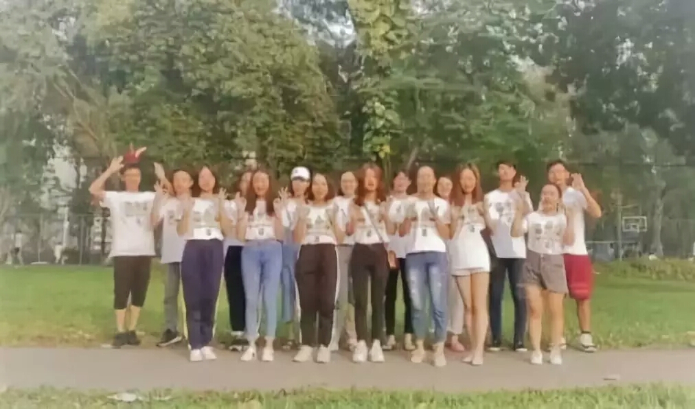 （图片逃跑了~）