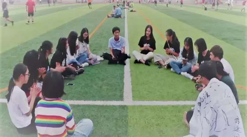 （图片逃跑了~）